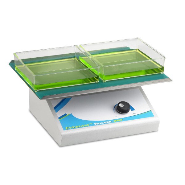 Everlast 2D Rocker with flat mat